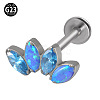 G23 Titanium with Cubic Zirconia Lip Rings WGA6216-14-1