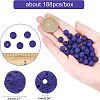 Natural Lava Rock Beads Strands G-NB0001-17-5