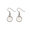 Stainless Steel Earring Hooks STAS-TA0004-02A-3