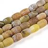 Natural Weathered Agate Beads Strands G-N344-42A-2