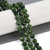 Natural Sesame Jasper Dyed Beads Strands G-H057-A21-07-2