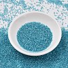 MIYUKI Delica Beads X-SEED-J020-DB2382-2