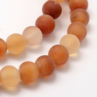 Frosted Natural Red Agate Beads Strands X-G-F372-10mm-1