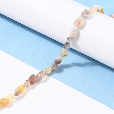 Natural Botswana Agate Beads Strands G-G018-26-1