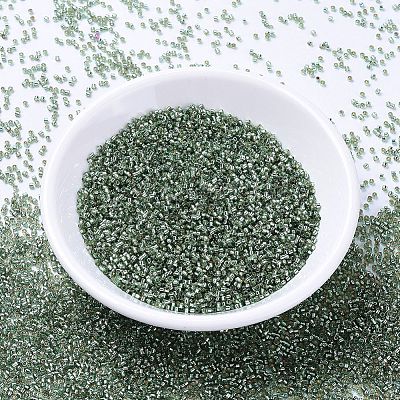 MIYUKI Delica Beads X-SEED-J020-DB2165-1