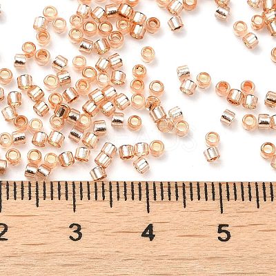 Glass Seed Beads X-SEED-S042-04B-17-1