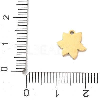 304 Stainless Steel Charms SA-CBA2714-01A-G-1