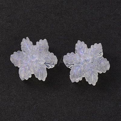Transparent Acrylic Beads X-OACR-P007-30-1