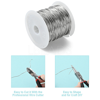 Non-Tarnish 316 Surgical Stainless Steel Wire TWIR-L004-01D-P-1