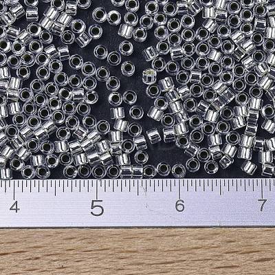 MIYUKI Delica Beads SEED-X0054-DB0041-1