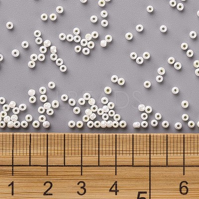 11/0 FGB Grade A Ceylon Glass Seed Beads X-SEED-N001-B-0482-1
