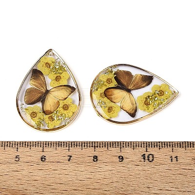 Transparent Epoxy Resin Pendants RESI-T059-20-1