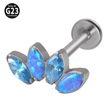 G23 Titanium with Cubic Zirconia Lip Rings WGA6216-14-1