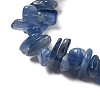 Natural Kyanite Chip Beads Stretch Bracelets for Men Women BJEW-L693-001-3