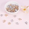 Alloy Charms ZIRC-PH0002-05-5