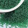 MIYUKI Round Rocailles Beads X-SEED-G009-RR0173-1