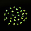 Glow in the Dark Luminous Transparent Glass Seed Beads SEED-YWC0001-01G-7