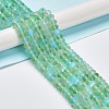 Frosted Transparent Glass Beads Strands X-FGLA-M002-01F-2