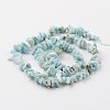 Chip Natural Larimar Bead Strands G-M349-09-3