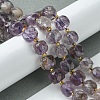 Natural Amethyst Beads Strands G-Q010-A06-01-2