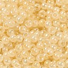 Glass Seed Beads SEED-H002-H-1308-3