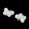 Alloy Glass Pendants GLAA-P080-01G-03-2