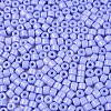 Opaque Baking Paint Glass Seed Beads SEED-T008-02R-3