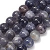 Natural Iolite Beads Strands G-G300-A04-8mm-2
