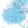 TOHO 6/0 Round Beads X-SEED-TR06-0143-1