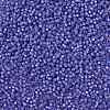 MIYUKI Round Rocailles Beads X-SEED-G008-RR0649-4