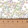6/0 Glass Seed Beads X1-SEED-M012-01A-01-4