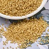 MIYUKI Delica Beads X-SEED-J020-DB2186-1