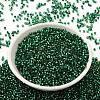 Glass Seed Beads X-SEED-S042-04B-28-2