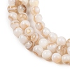 Natural Freshwater Shell Beads Strands SHEL-T011-02-2mm-3