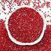 Electroplate Glass Seed Beads SEED-H003-10A-3