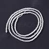 Transparent Glass Beads Strands GLAA-C019-01A-11-3