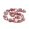 AB Color Plated Natural Freshwater Shell Beads Strands BSHE-G033-03A-2