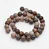 Natural Petrified Wood Round Beads Strands G-P101-01-10mm-2