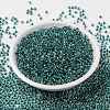MIYUKI Round Rocailles Beads SEED-JP0009-RR3205-2