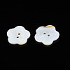 Natural Freshwater Shell Buttons SHEL-N026-181-3