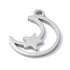 304 Stainless Steel Charms STAS-C097-23P-2