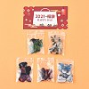 2021 Lucky Bag! Random 5 Styles Cellulose Acetate(Resin) Lucky Bag! DIY-LUCKYBAY-67-1