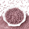 FGB Frosted Transparent Glass Seed Beads SEED-N013-04A-06-2