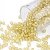 TOHO Round Seed Beads SEED-XTR08-0948-1