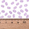 FGB Frosted Transparent Glass Seed Beads SEED-N013-06A-07-4