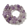 Natural Amethyst Beads Strands G-B078-D12-02-3