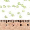 Glass Seed Beads SEED-T007-01L-4