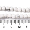 Natural Howlite Beads Strands G-G001-B02-06-5