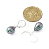 Dyed Shell Teardrop Earrings EJEW-R065-06-2