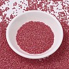MIYUKI Delica Beads X-SEED-J020-DB0874-2